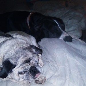 Meet your Posher, Sue